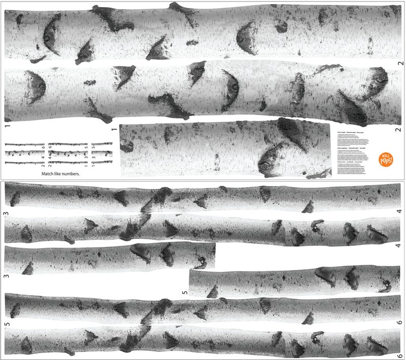 WallPops DWPK2756 SSilver Birches Wall Art Kit, White & Off-White - Image 1